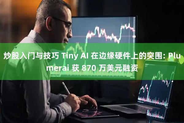 炒股入门与技巧 Tiny AI 在边缘硬件上的突围: Plumerai 获 870 万美元融资