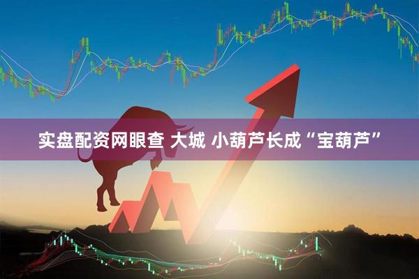 实盘配资网眼查 大城 小葫芦长成“宝葫芦”