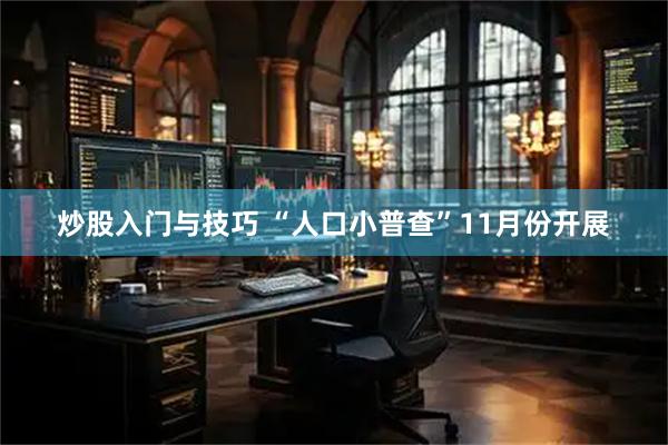 炒股入门与技巧 “人口小普查”11月份开展