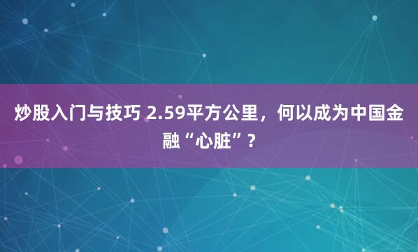 炒股入门与技巧 2.59平方公里，何以成为中国金融“心脏”？