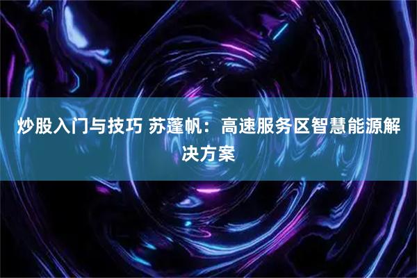 炒股入门与技巧 苏蓬帆：高速服务区智慧能源解决方案