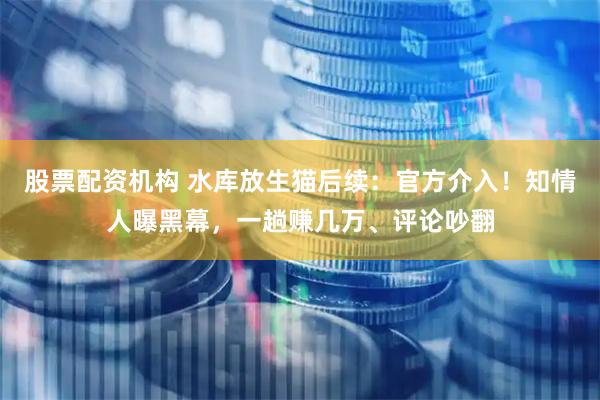 股票配资机构 水库放生猫后续：官方介入！知情人曝黑幕，一趟赚几万、评论吵翻
