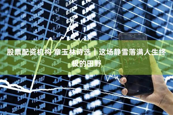 股票配资机构 章玉林诗选｜这场静雪落满人生终极的田野