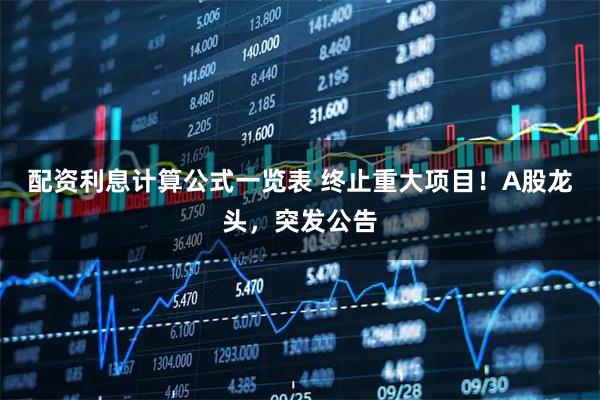 配资利息计算公式一览表 终止重大项目！A股龙头，突发公告
